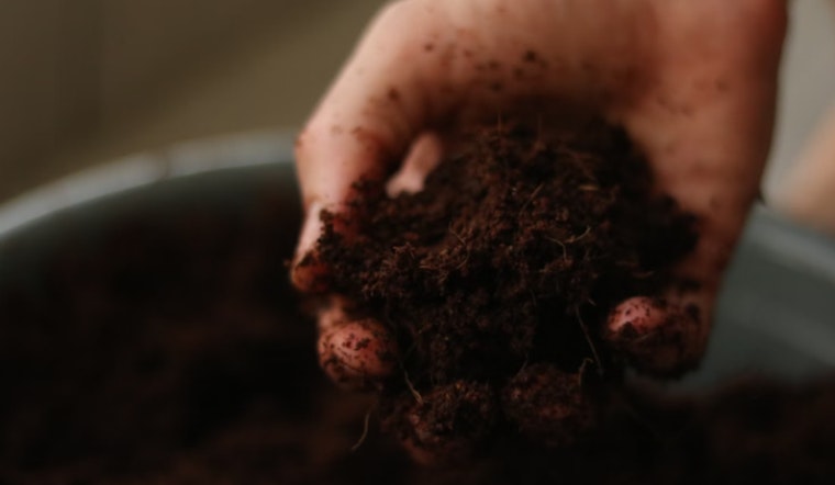MIT Researchers Develop Formula to Predict Invasive Species Success