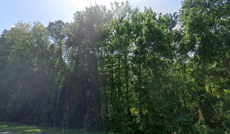 Mixed Weather Ahead for Jacksonville with Sunny Skies and a Chance of Showers