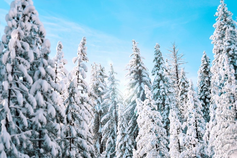 Montgomery County Extends Code Blue Emergency Amid Freezing Forecasts Until January 28