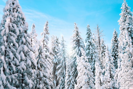 Montgomery County Extends Code Blue Emergency Amid Freezing Forecasts Until January 28