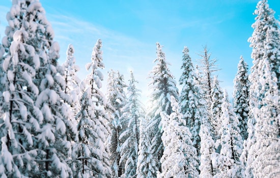 Montgomery County Extends Code Blue Emergency Amid Freezing Forecasts Until January 28