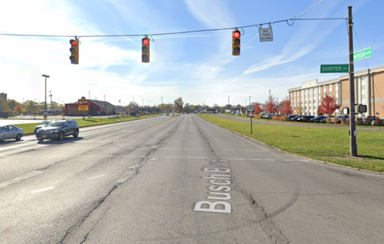 Morning Tragedy on Busch Boulevard: One Dead After Car Strikes Tree in Columbus