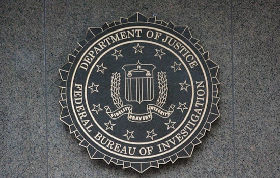 Multiple Indictments and Sentences in FBI Crackdown Covering Illinois Heist and Tampa Bay Doctor's Disturbing Crimes
