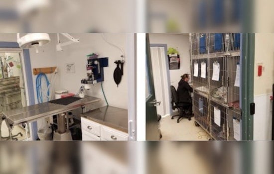 Multnomah County Advances Plans for New Animal Services Facility, Discusses Cost and Space Challenges