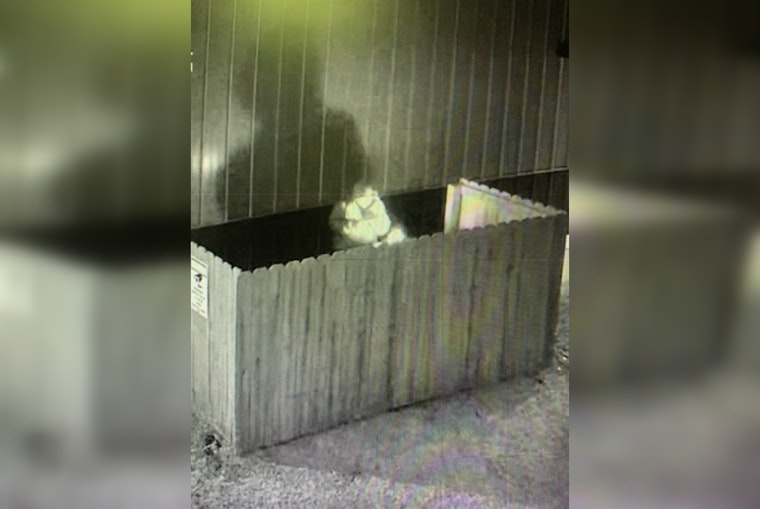 Nashville Authorities Seek Public's Help to Identify Suspect in First Apostolic Church Arson Case