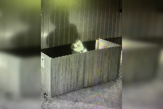 Nashville Authorities Seek Public's Help to Identify Suspect in First Apostolic Church Arson Case