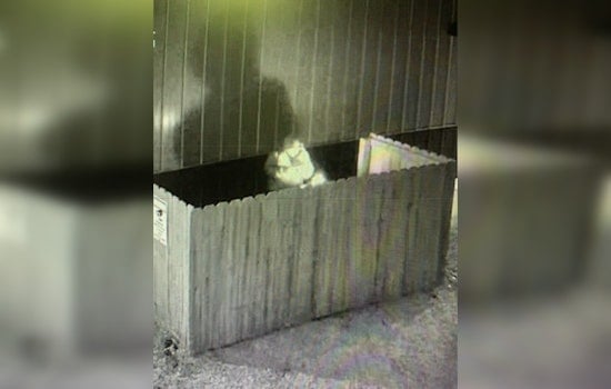 Nashville Authorities Seek Public's Help to Identify Suspect in First Apostolic Church Arson Case