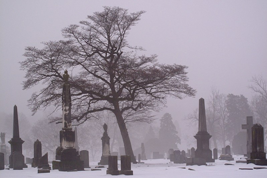 Nashville Forecast: Clear Skies to Snow Showers, Temps Swing as Week Progresses