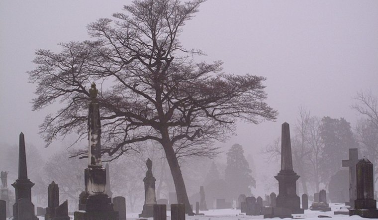 Nashville Forecast: Clear Skies to Snow Showers, Temps Swing as Week Progresses