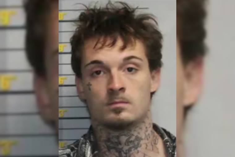 New Jersey Man Pleads Guilty to Federal Conspiracy Charge in Monkey Torture Video Case
