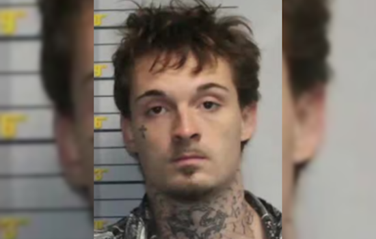 New Jersey Man Pleads Guilty to Federal Conspiracy Charge in Monkey Torture Video Case