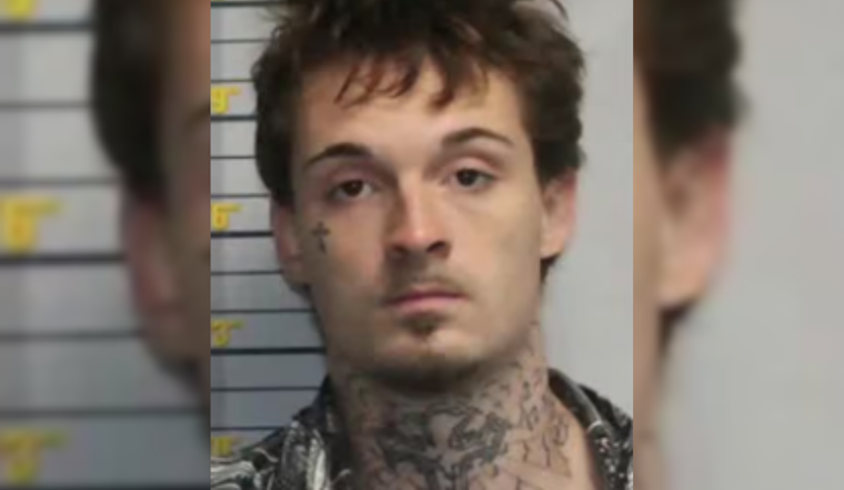 New Jersey Man Pleads Guilty to Federal Conspiracy Charge in Monkey Torture Video Case