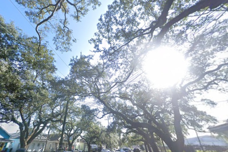New Orleans and Southeast Louisiana Hit with Cold Weather Advisory and Freeze Watch