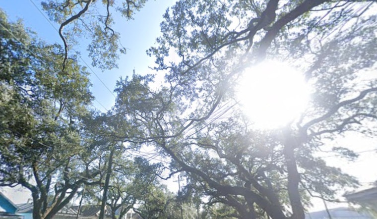 New Orleans and Southeast Louisiana Hit with Cold Weather Advisory and Freeze Watch