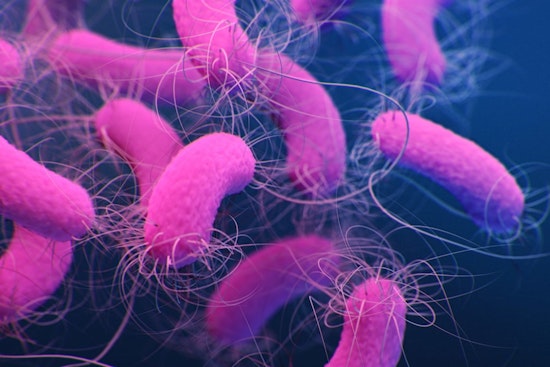 New Orleans Breakthrough as Tulane University Scientists Crack Code on Bacterial Drug Resistance