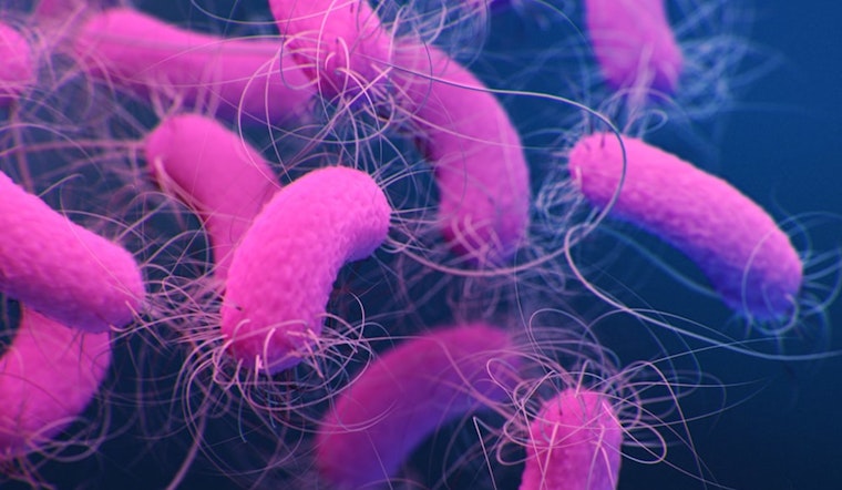 New Orleans Breakthrough as Tulane University Scientists Crack Code on Bacterial Drug Resistance