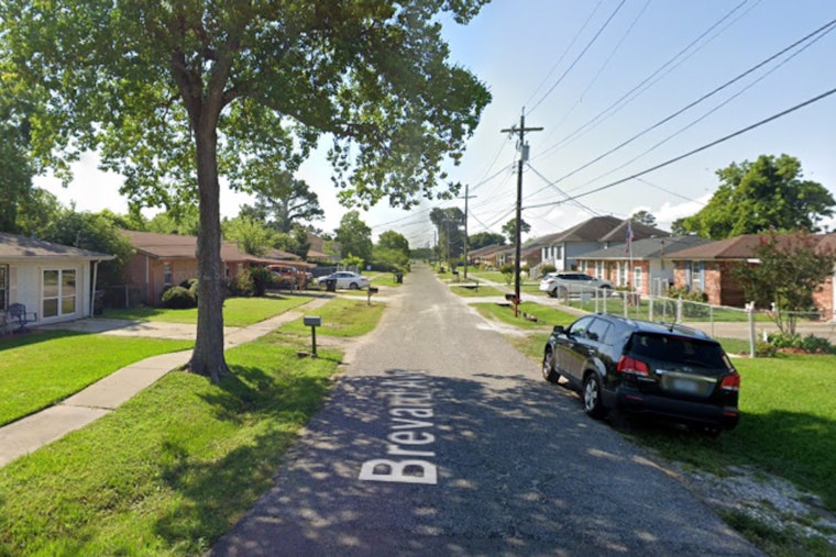 New Orleans East Home Fire Traced to Faulty Fireplace, NOFD Rescues Twelve Cats