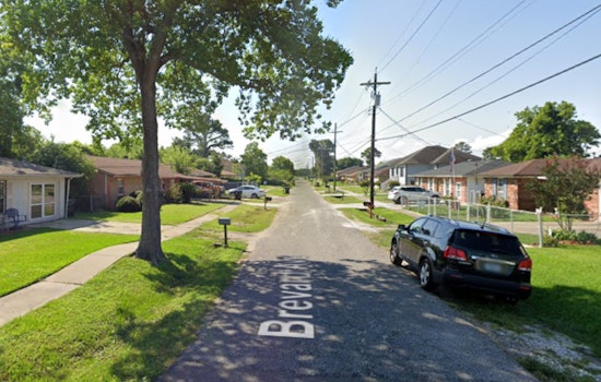 New Orleans East Home Fire Traced to Faulty Fireplace, NOFD Rescues Twelve Cats