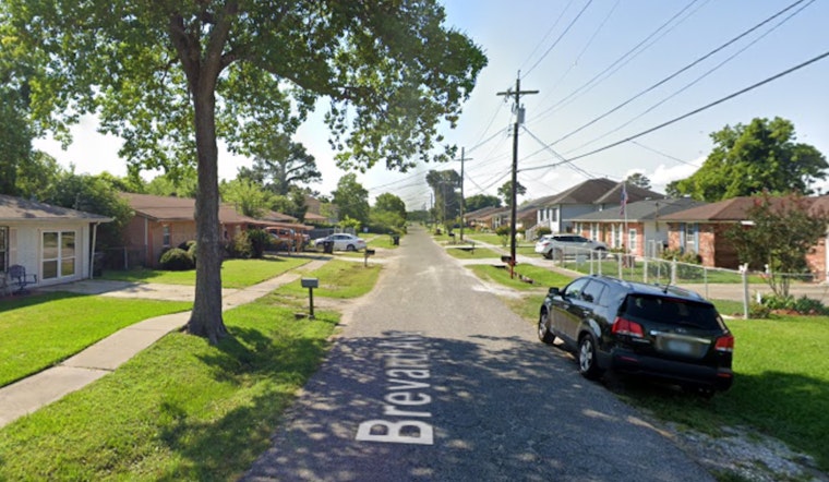 New Orleans East Home Fire Traced to Faulty Fireplace, NOFD Rescues Twelve Cats