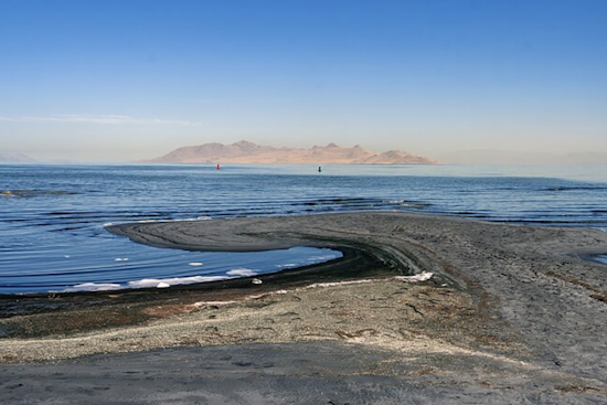 New Study Calls for Major Alfalfa Production Cuts in Utah to Aid Great Salt Lake Recovery
