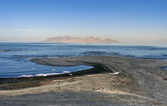 New Study Calls for Major Alfalfa Production Cuts in Utah to Aid Great Salt Lake Recovery