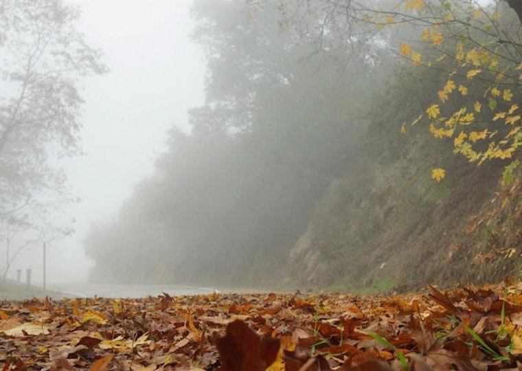 New Year's Fog Advisory in Los Angeles Leads to Hazardous Commute and Extended No-Burn Alert