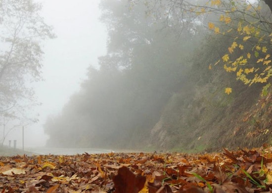 New Year's Fog Advisory in Los Angeles Leads to Hazardous Commute and Extended No-Burn Alert