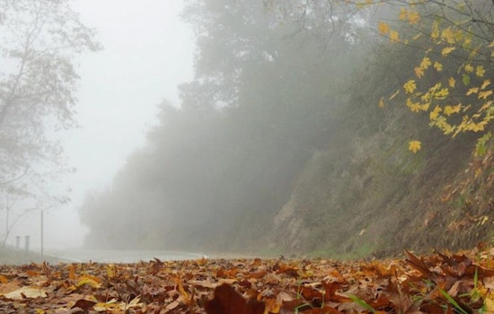 New Year's Fog Advisory in Los Angeles Leads to Hazardous Commute and Extended No-Burn Alert