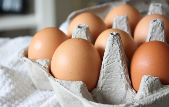 New York AG Letitia James Claws Down on Egg Price Gougers Amidst Avian Flu Crisis