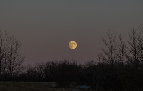 New York City Braces for Brisk Winds and Chilly Temperatures, Wolf Moon and Mars to Illuminate Winter Skies