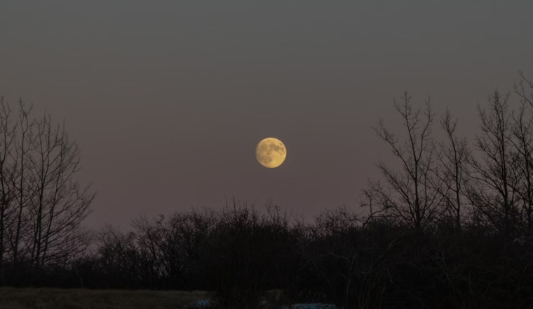 New York City Braces for Brisk Winds and Chilly Temperatures, Wolf Moon and Mars to Illuminate Winter Skies