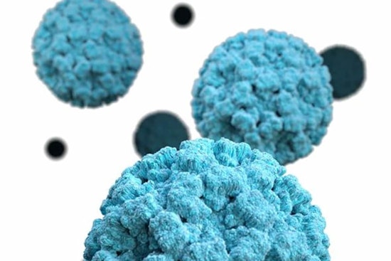 Norovirus Outbreaks Climb to Near Three-Year High Across the U.S.