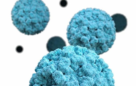 Norovirus Outbreaks Climb to Near Three-Year High Across the U.S.