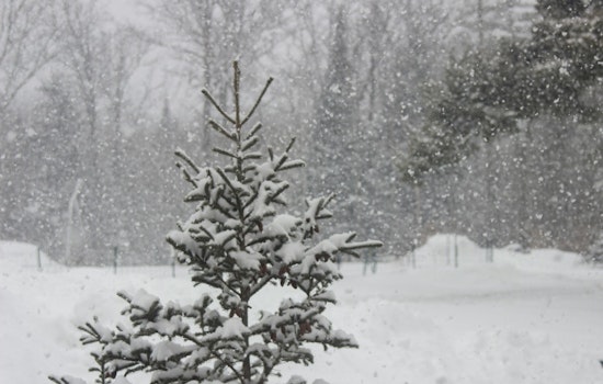 North Carolina Governor Josh Stein Urges Caution as Winter Storm Looms State Braces for Snow Sleet and Freezing Rain