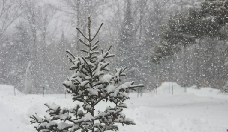 North Carolina Governor Josh Stein Urges Caution as Winter Storm Looms State Braces for Snow Sleet and Freezing Rain