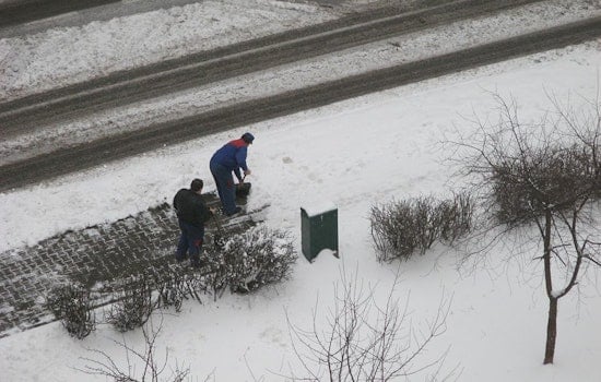 NYC Sanitation Dept Warns of Fines for Unshoveled Sidewalks Starting Monday as 2,034 Summonses Issued Post-Storm