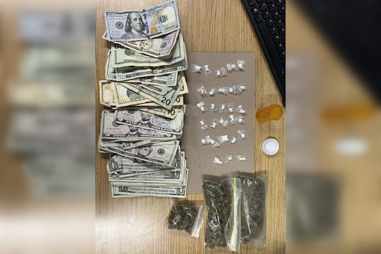 NYPD Apprehends Suspect for Illegal Narcotics Sales in Washington Square Park