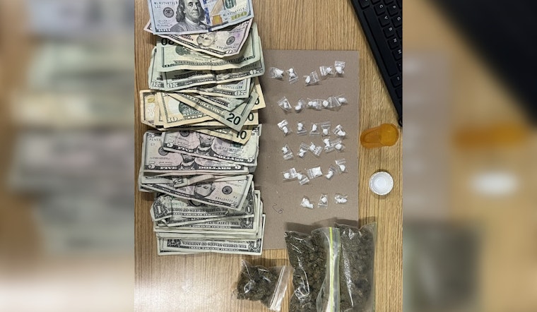 NYPD Apprehends Suspect for Illegal Narcotics Sales in Washington Square Park
