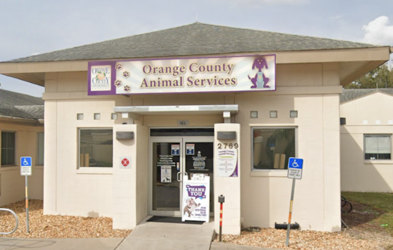 Orange County Animal Services Celebrates Remarkable 89% Live Release Rate in Annual Report