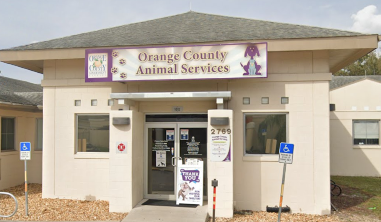 Orange County Animal Services Celebrates Remarkable 89% Live Release Rate in Annual Report