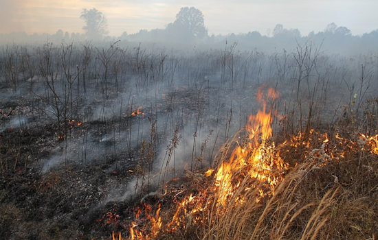 Orinda's MOFD to Conduct Prescribed Burns to Fortify Against Wildfires