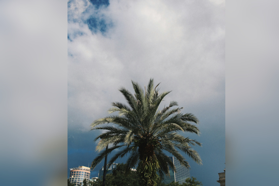 Orlando Braces for Cold Snap and Gale Conditions, NWS Melbourne Advises Caution