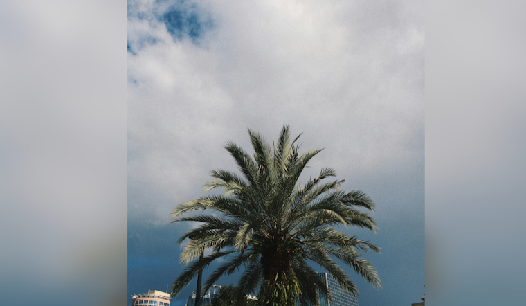 Orlando Braces for Cold Snap and Gale Conditions, NWS Melbourne Advises Caution