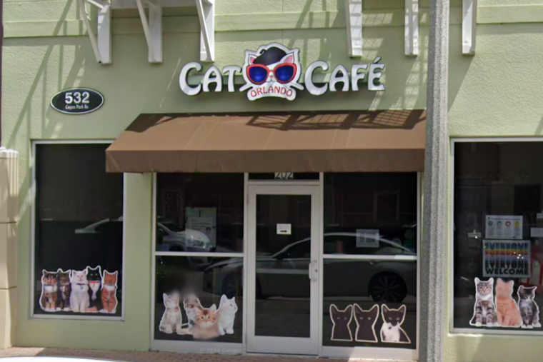 Orlando Cat Café Unveils Franchising Model to Expand Nationally, Aiming to Enrich Pet Adoption Across Southeast U.S.