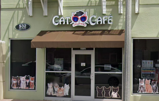 Orlando Cat Café Unveils Franchising Model to Expand Nationally, Aiming to Enrich Pet Adoption Across Southeast U.S.