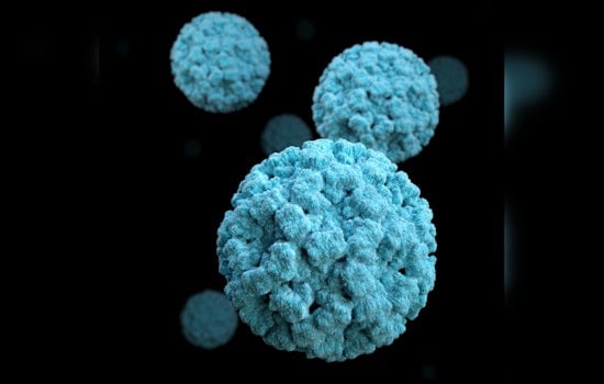 Outbreak Alert: Norovirus Cases Skyrocket in New York City, Nationwide Surge Since 2012