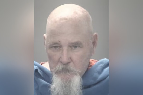 Pasco County Man Charged with Vehicular Homicide for Fatal Tampa Crash Involving Mother