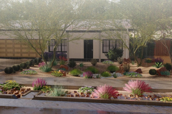 Phoenix Unveils Green Stormwater Infrastructure Handbook to Bolster Urban Sustainability and Drought Resilience
