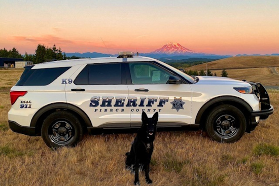 Pierce County K9 Officer Coda Lauded for Successful Suspect Apprehension