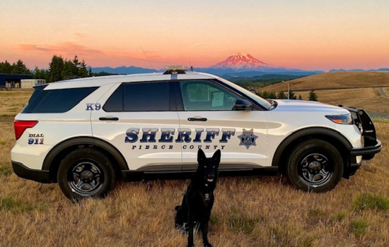 Pierce County K9 Officer Coda Lauded for Successful Suspect Apprehension